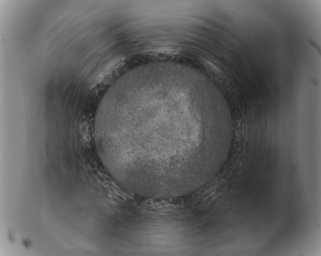 X0000102770774200809081004