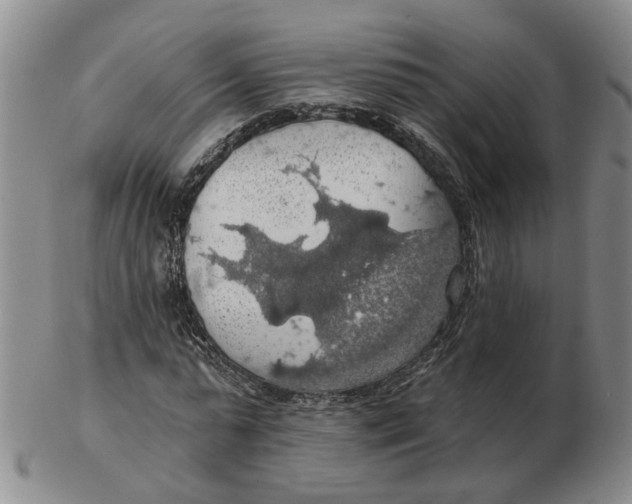 X0000102770775200809081004