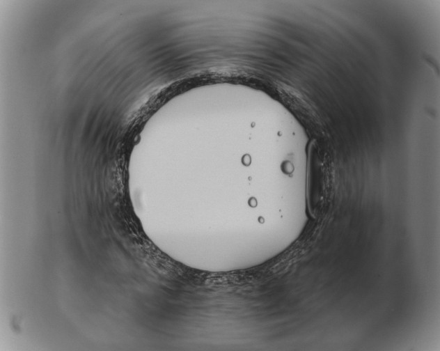 X0000102770776200809081004