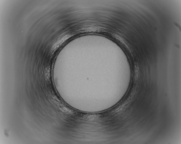 X0000102770778200809081004