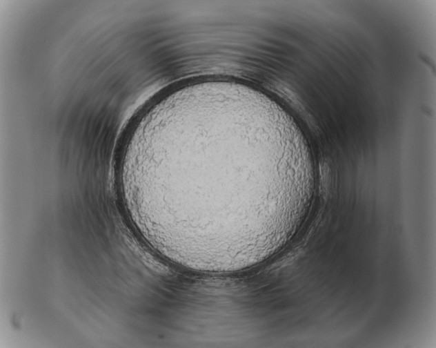 X0000102770780200809081004