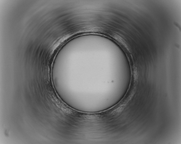 X0000102770781200809081004