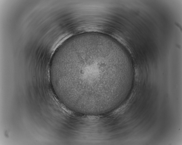 X0000102770782200809081004