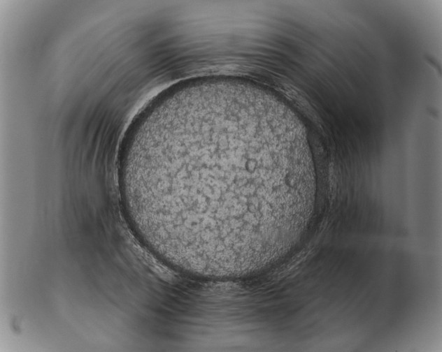 X0000102770784200809081003