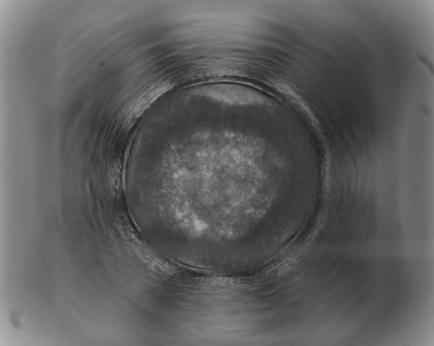 X0000102770785200809081003