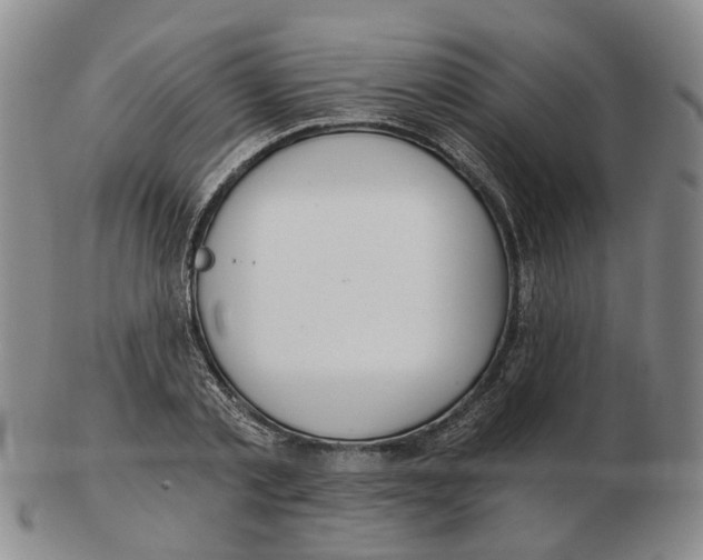 X0000102770789200809081003