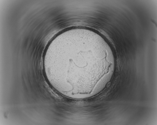 X0000102770791200809081003