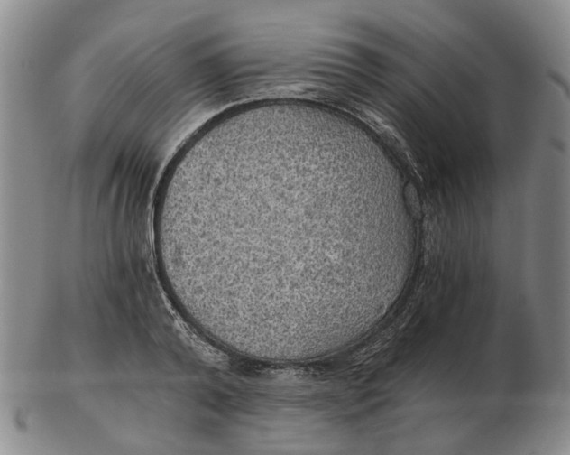 X0000102770792200809081003