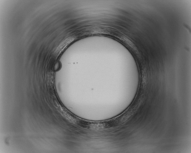 X0000102770793200809081003