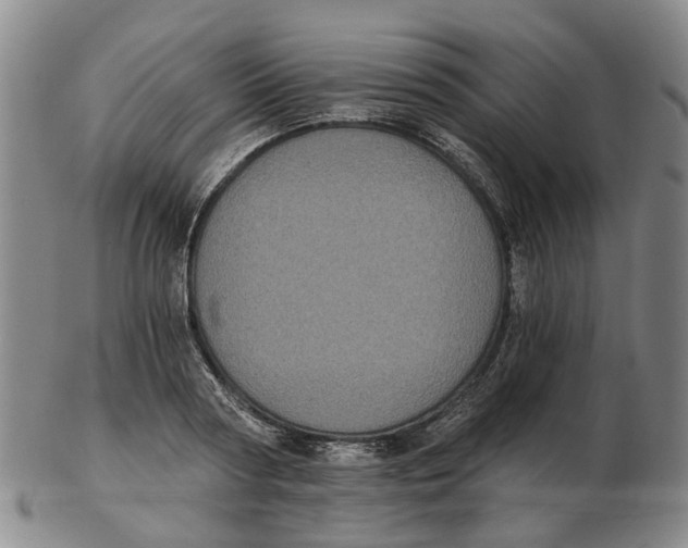 X0000102770794200809081003