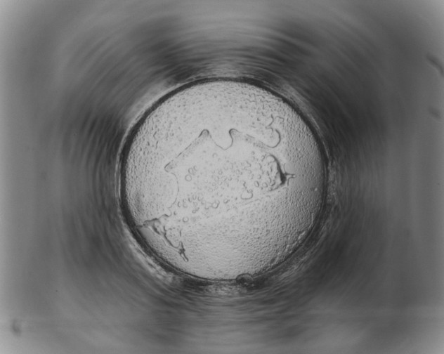 X0000102770795200809081003