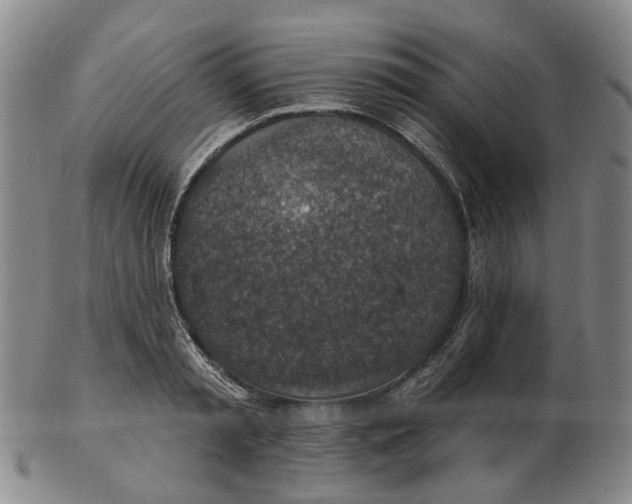 X0000102770797200809081003