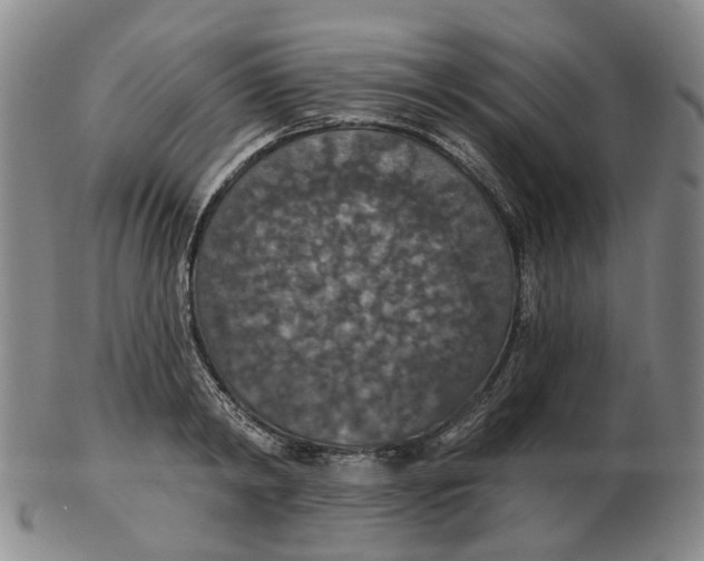 X0000102770798200809081003