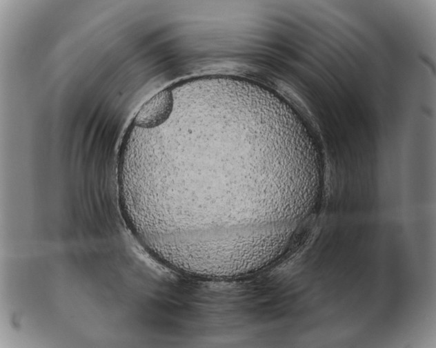 X0000102770800200809081003