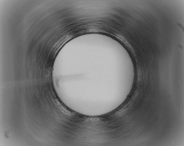 X0000102770801200809081003