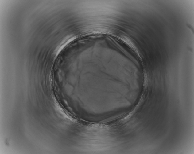 X0000102770806200809081003