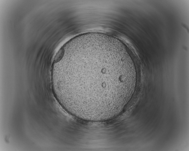 X0000102770808200809081003