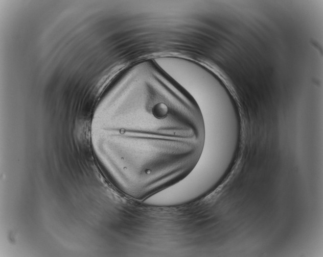 X0000102770809200809081003