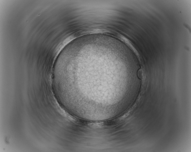 X0000102770810200809081003