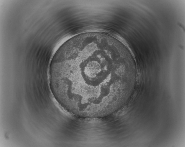 X0000102770811200809081003