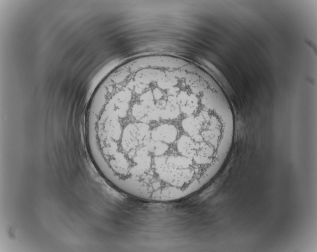 X0000102770812200809081003