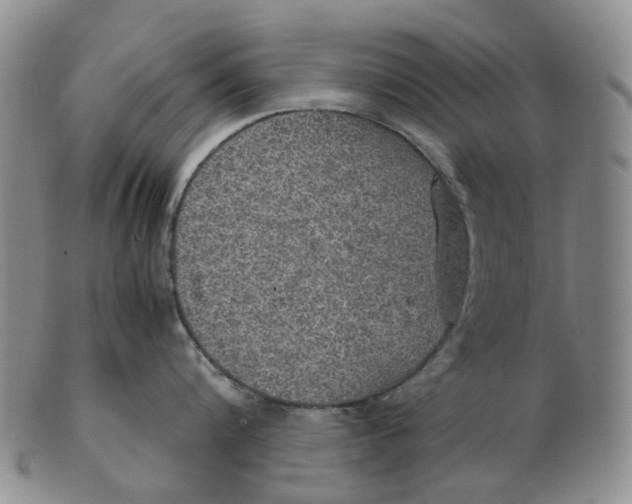 X0000102770816200809081003