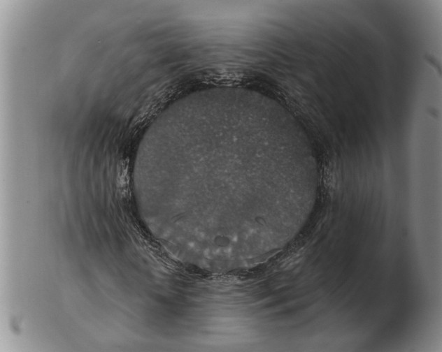 X0000102770818200809081002