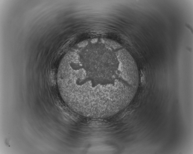 X0000102770819200809081002