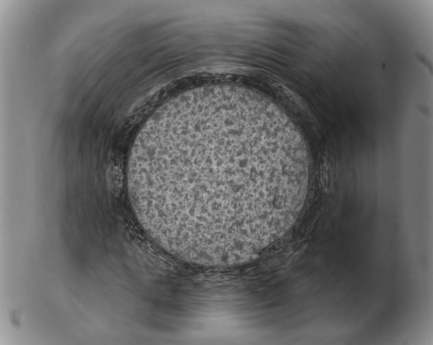 X0000102770821200809081002