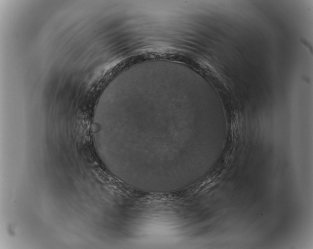 X0000102770822200809081002