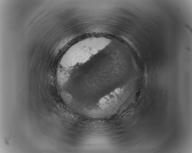 X0000102770823200809081002