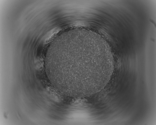 X0000102770824200809081002