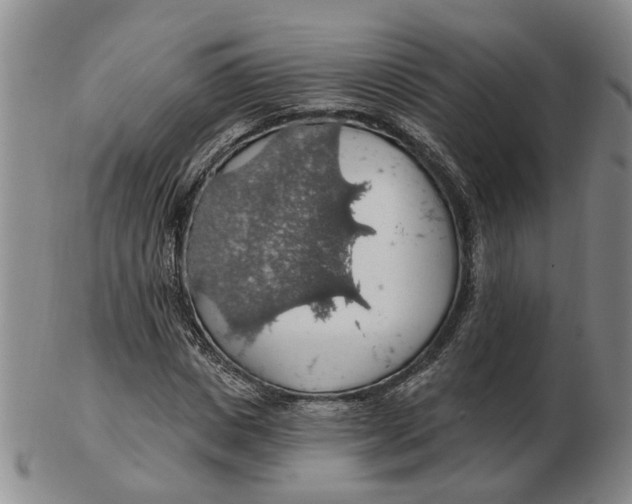 X0000102770825200809081002