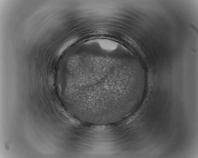 X0000102770826200809081002