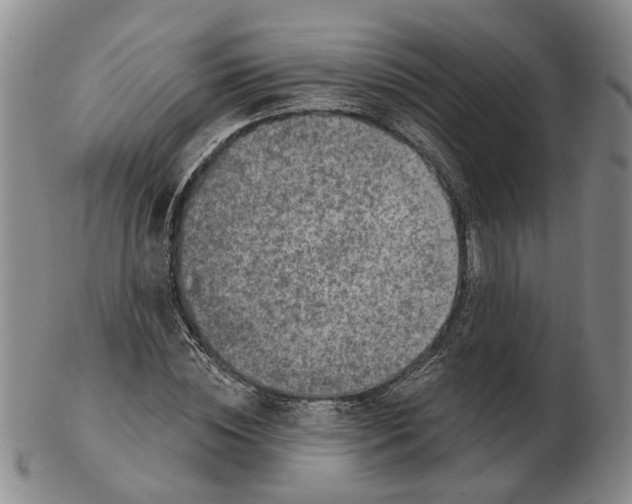 X0000102770828200809081002