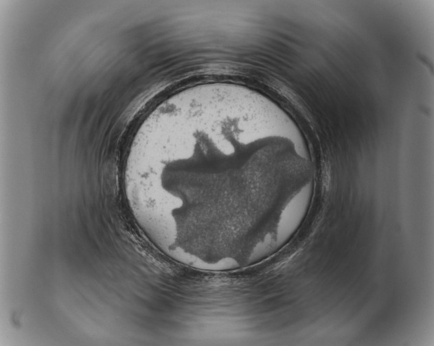 X0000102770829200809081002