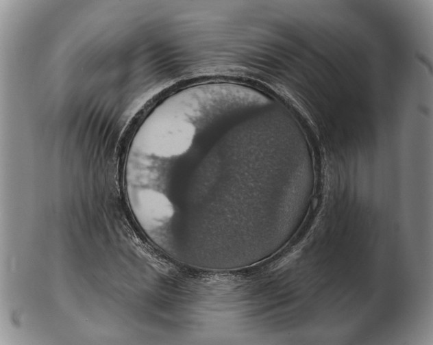 X0000102770830200809081003