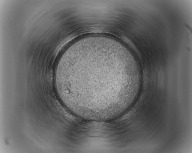 X0000102770831200809081003