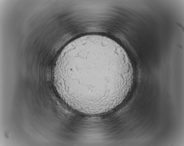 X0000102770833200809081003