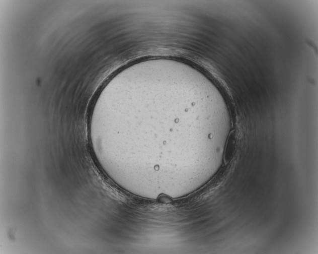 X0000102770837200809081003