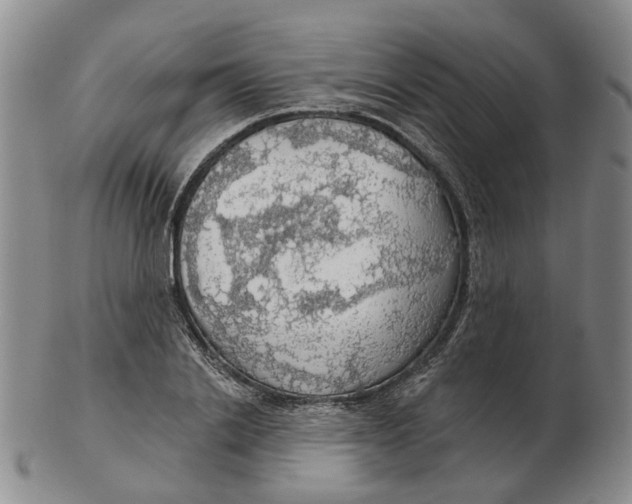 X0000102770838200809081003