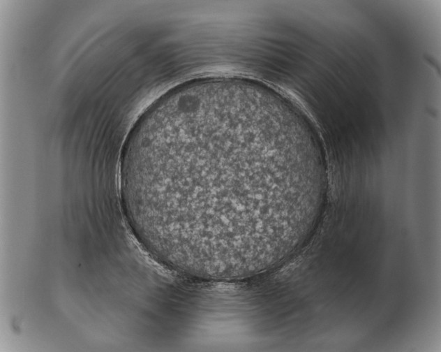 X0000102770839200809081003