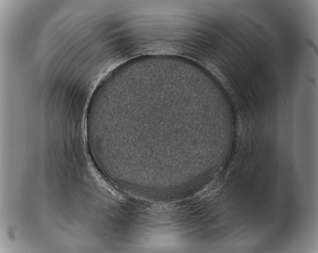 X0000102770840200809081003