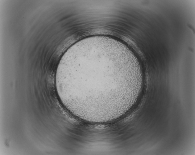 X0000102770841200809081003