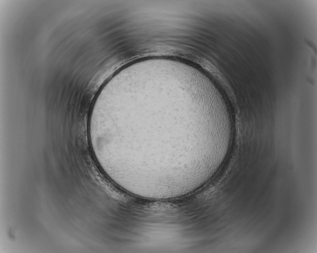 X0000102770842200809081003