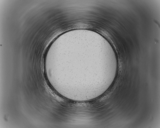 X0000102770843200809081003