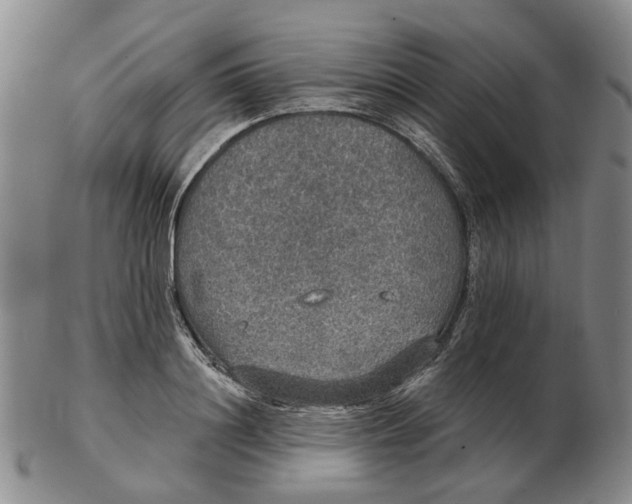 X0000102770844200809081003