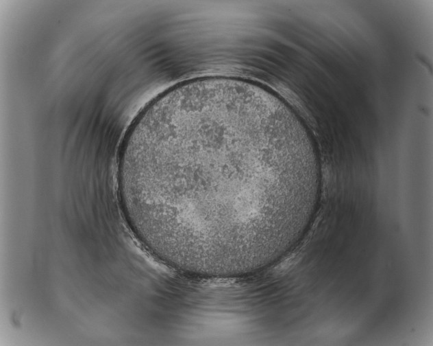 X0000102770846200809081003