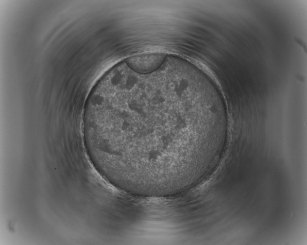 X0000102770847200809081003