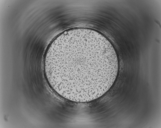 X0000102770848200809081003